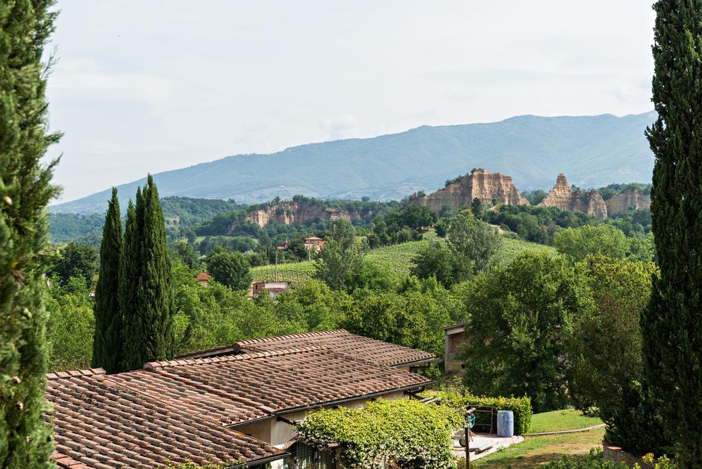 Villa Il Cedro Реджело Екстериор снимка